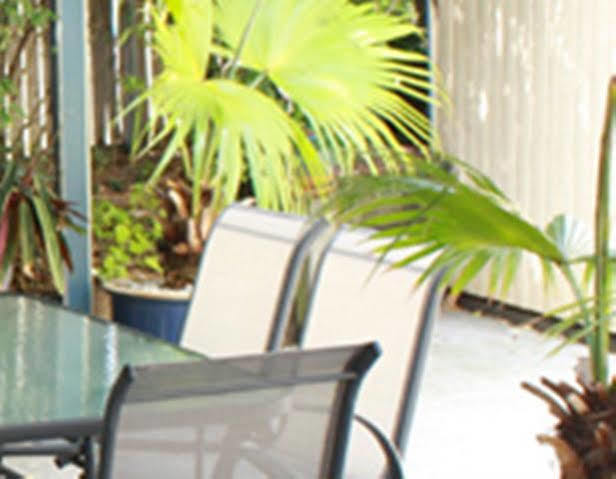 Benson Court Motel Brisbane Eksteriør billede